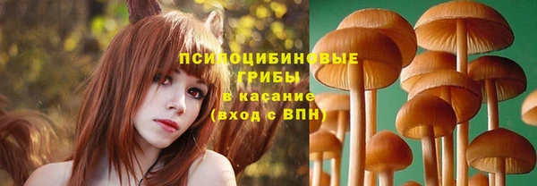прущая мука Лиски