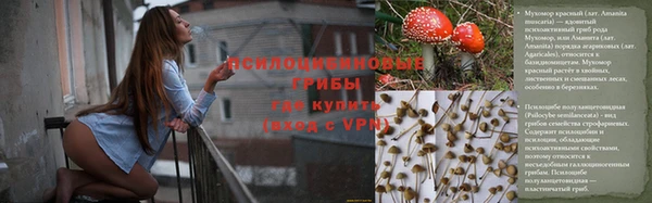 гашик Лихославль