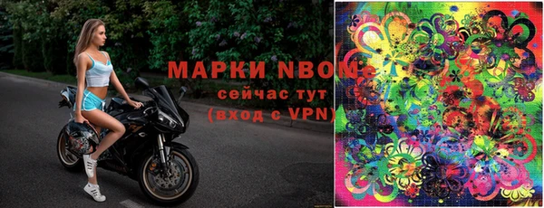 прущие грибы Липки