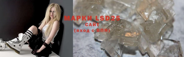 прущие грибы Липки