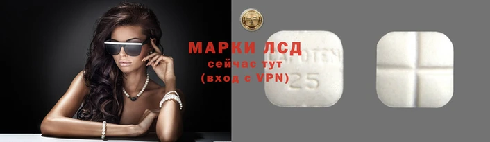 прущие грибы Липки