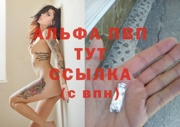 прущие грибы Липки
