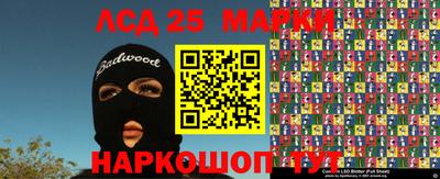 гидропоника Жуковский