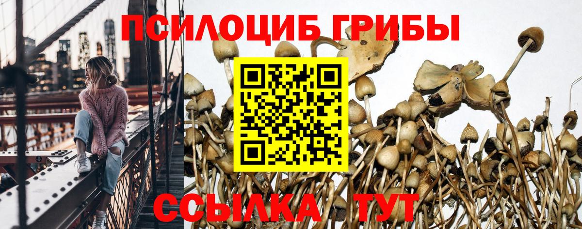 Подольск  Галлюциногенные грибы GOLDEN TEACHER  Вход с VPN  Галлюциногенные грибы мухоморы 