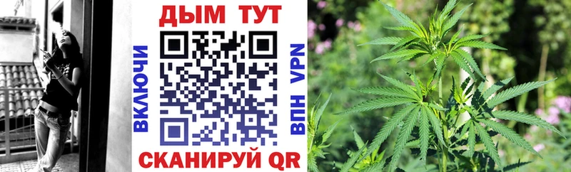 Бошки марихуана тримм  нарко площадка клад  Подольск 